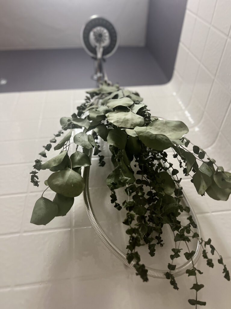 eucalyptus in shower